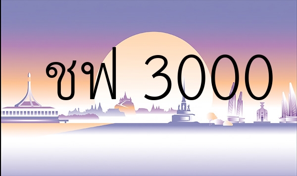 ชฟ 3000